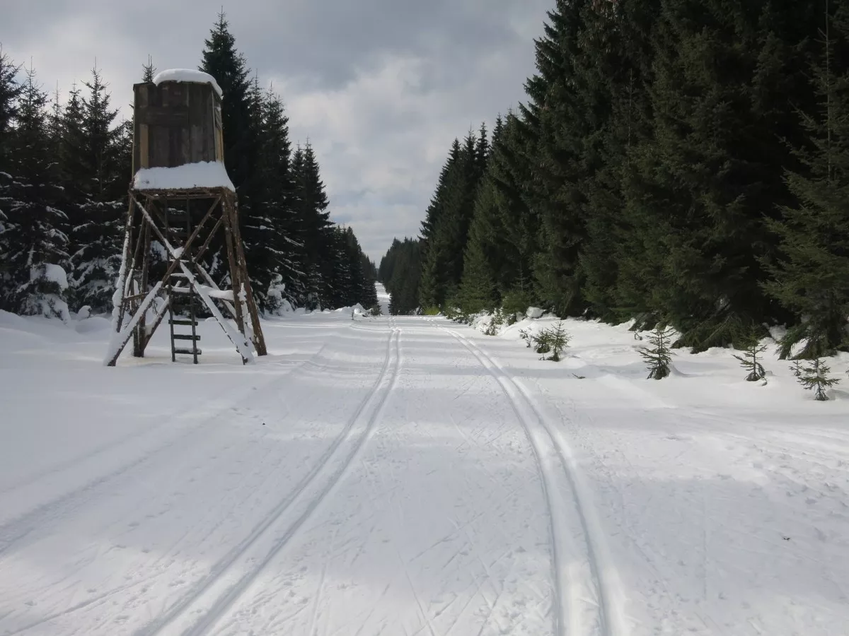 Auf dem Gebirgskamm, Abzweig zur Kammloipe