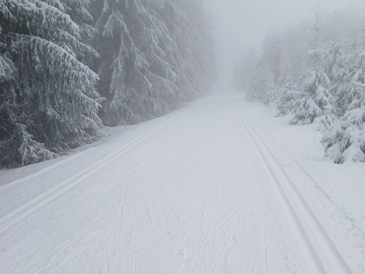 Loipe Holzhau - Dlouha Louka im Nebel