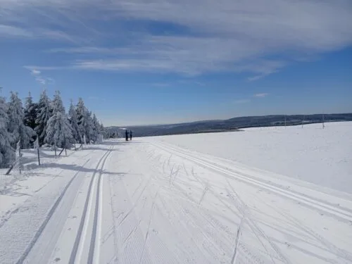 Loipe oberhalb von Holzhau auf tschechischer Seite bei Traumwetter am Freitag