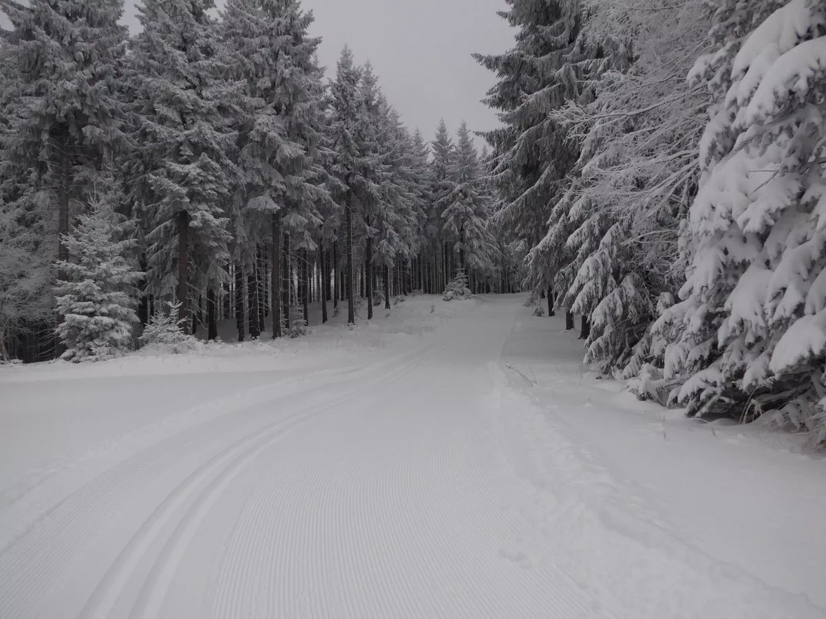 Skiwanderweg Tellkoppe bei Oberbärenburg
