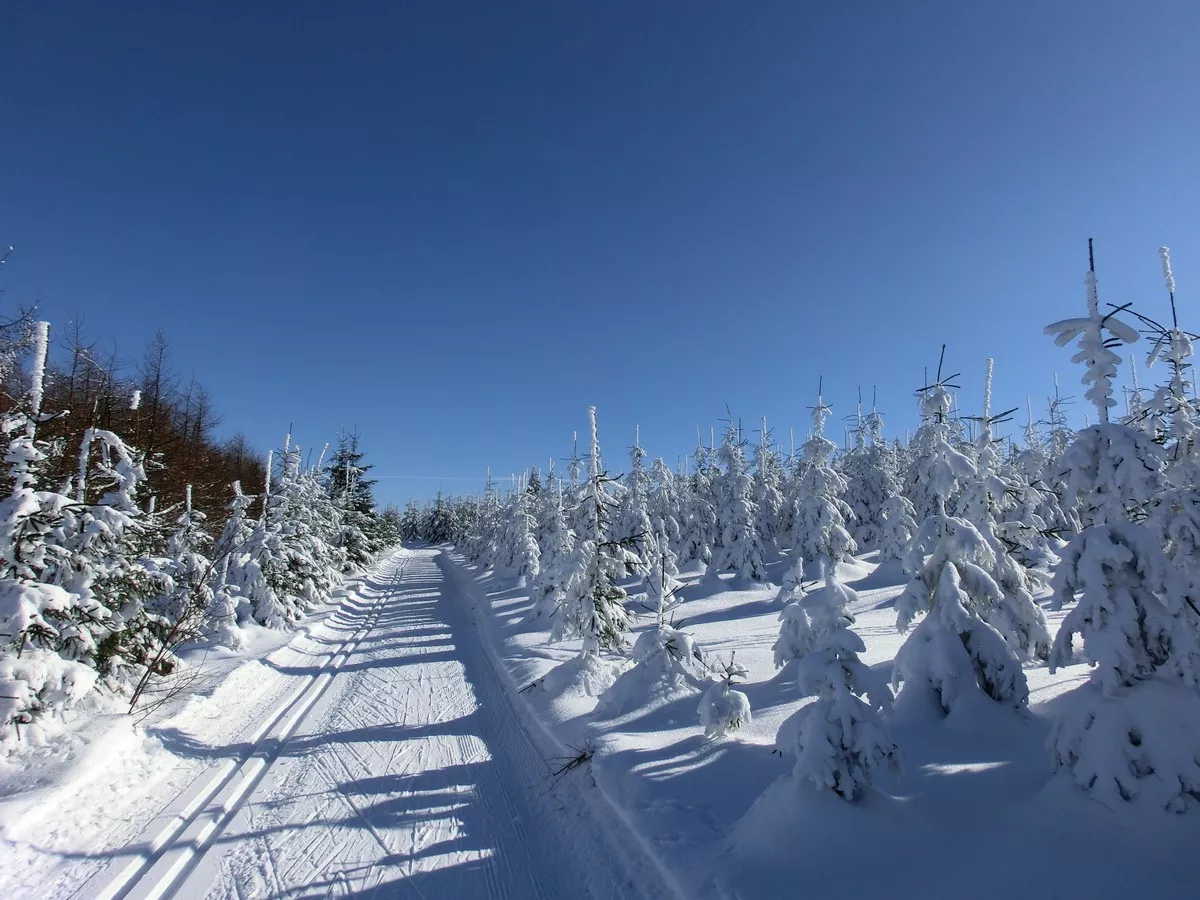 Skimagistrale ziwschen Göhrener Tor und Talsperre Flaje