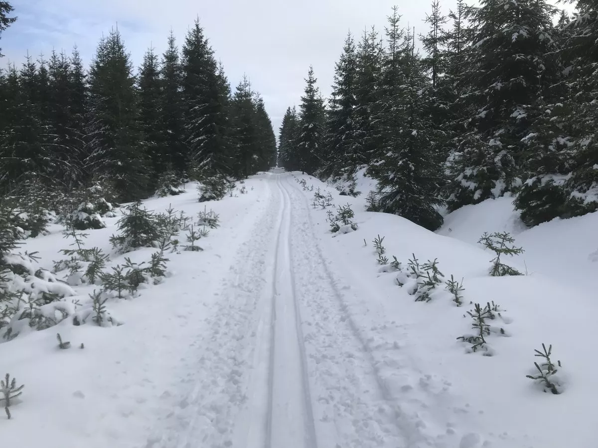 Loipe_Prebuz4 Weitersglashuette