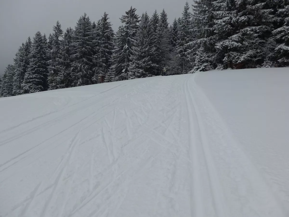 Sonnenloipe Sosa - auch für Skating präpariert