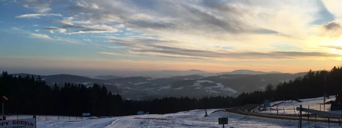 boehmerwald2