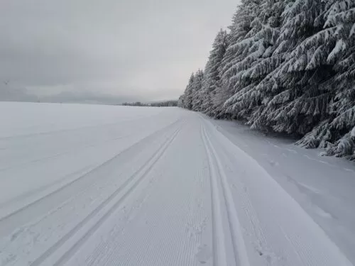 Loipe bei Hermsdorf am 30.11.2023