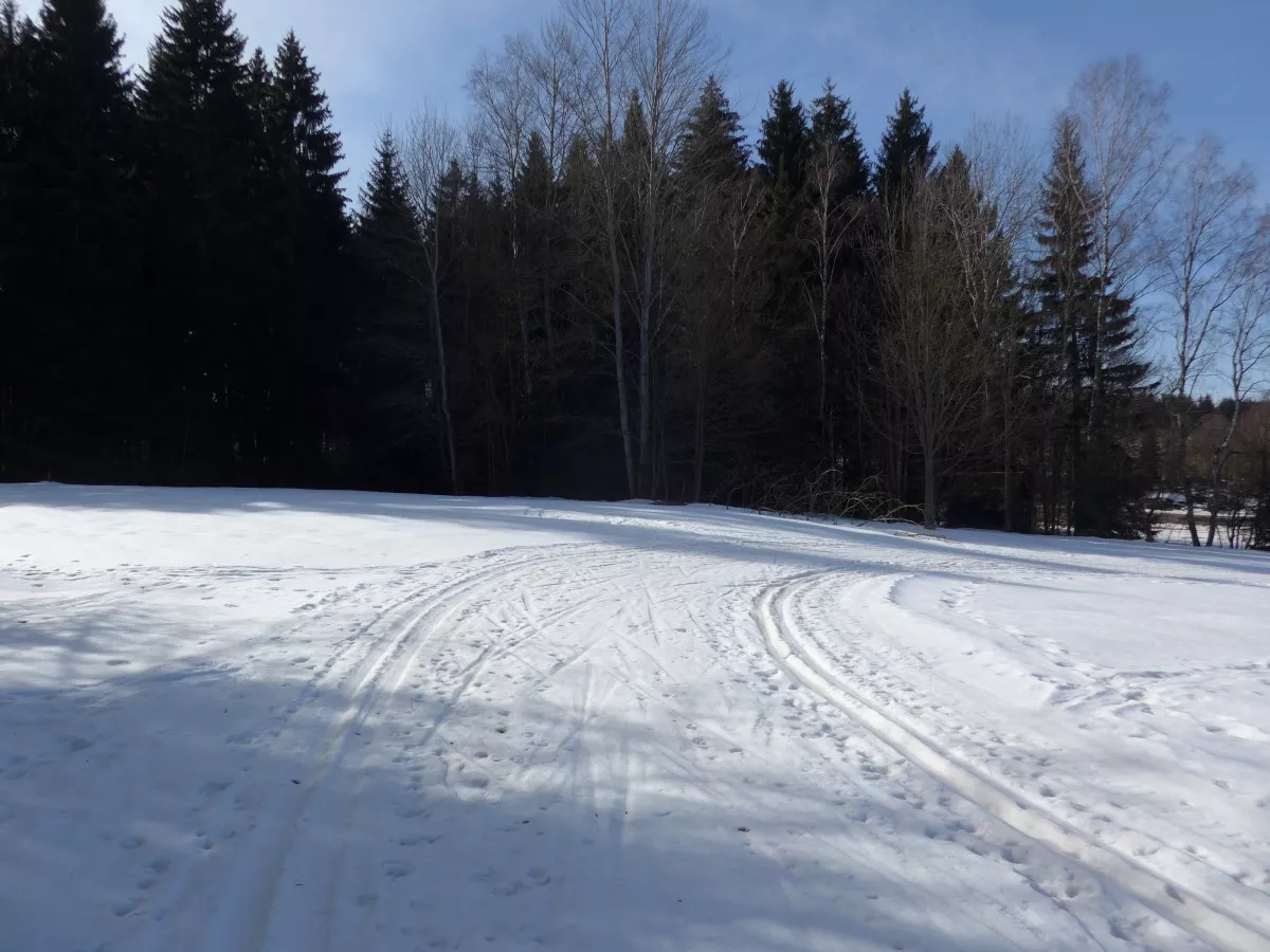 Loipe bei Zschorlau