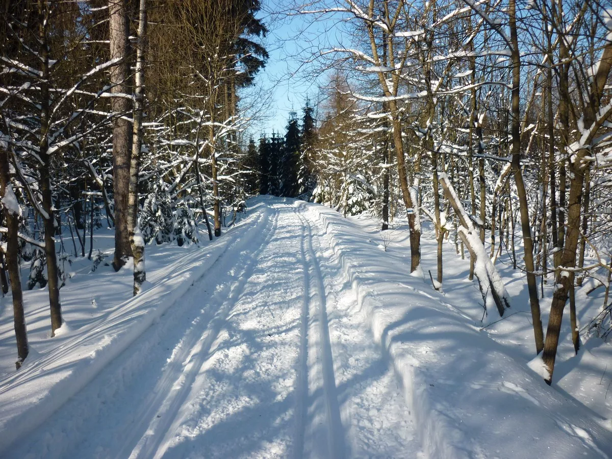 Skimagistrale (SM) im Bereich Kühnhaide