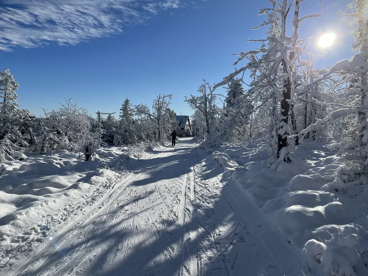 Loipengebiet Altenberg