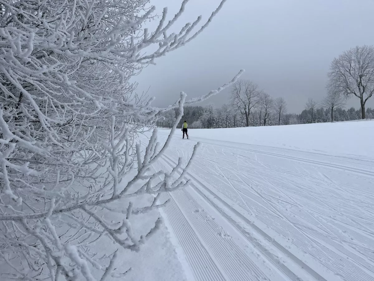 Loipe-Hermsdorf-2022-12-17
