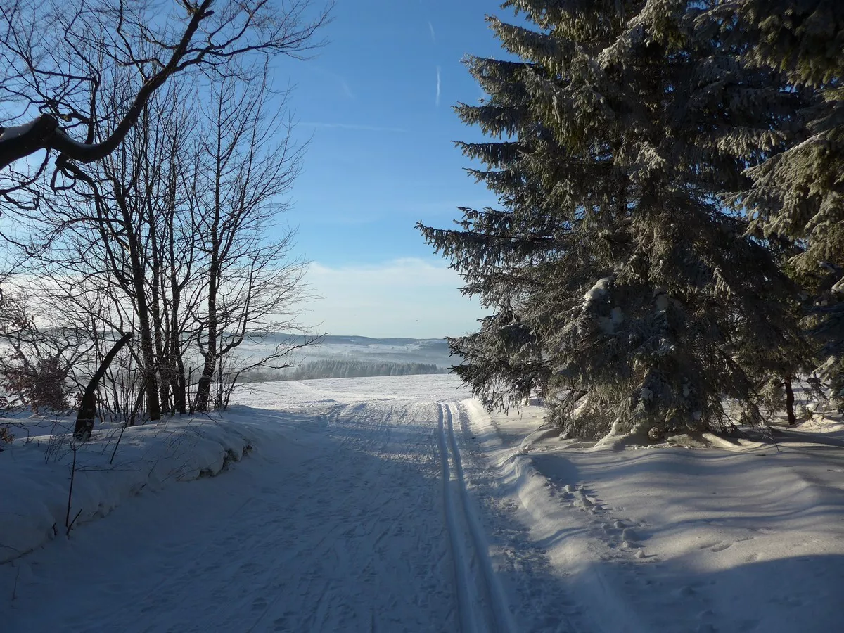 Skiwanderweg Blaue Runde (Modrý okruh Rudný) am Waldausgang