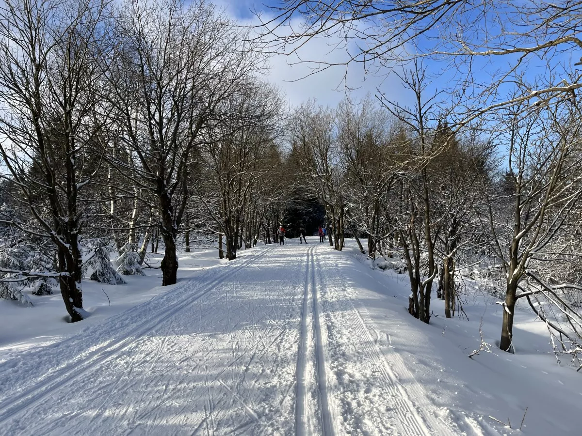 Kahlebergloipe nahe Wetterstation bei Zinnwald-Georgenfeld