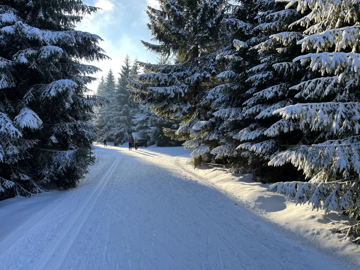 Loipengebiet Altenberg - am Gabelweg