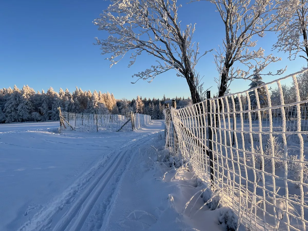 Skiwanderweg Loipengebiet Altenberg