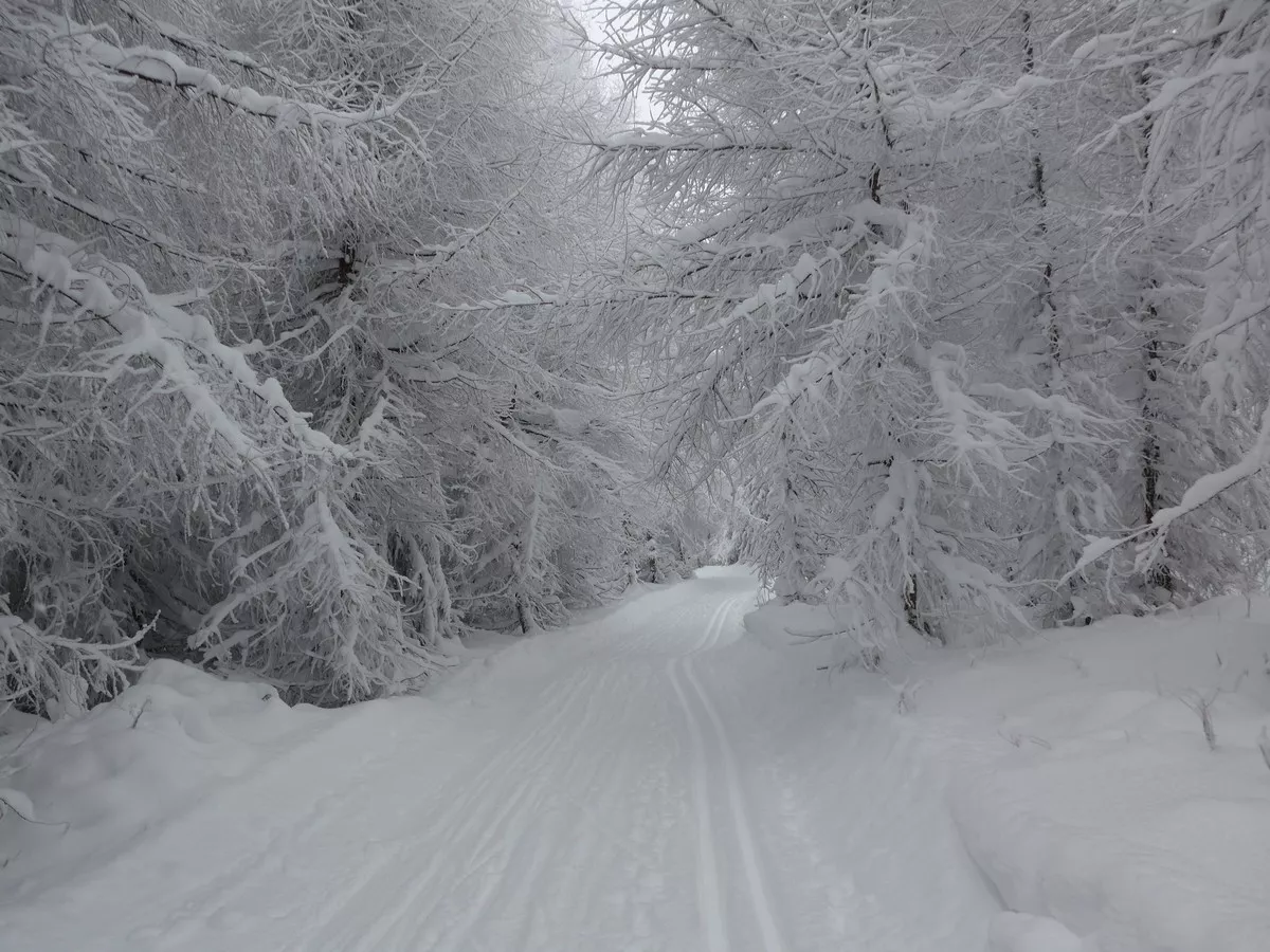 Runde Osterzgebirge