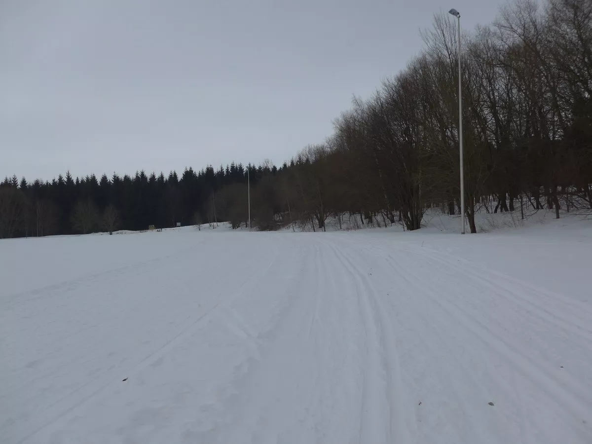Loipe am Mischplatz bei Annaberg-Buchholz - gute Trainingsstrecke
