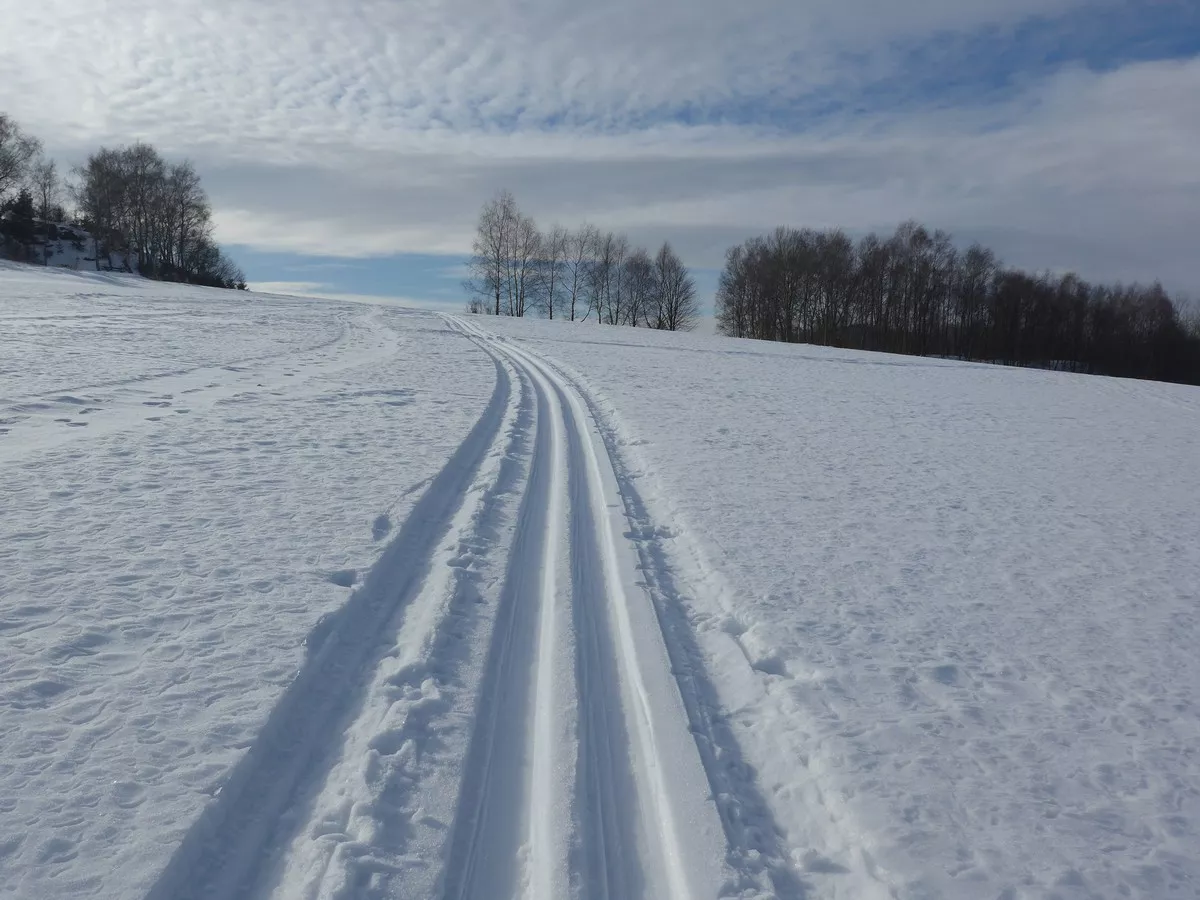Skiwanderweg bei Frohnau und Buchholz