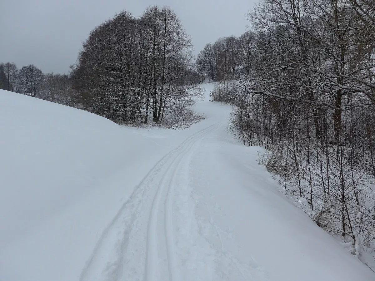Loipe Augustusburg Richtung Leubsdorf