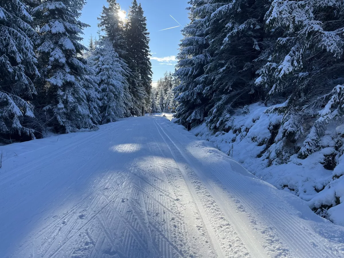 Loipe zum Plesivec (Pleßberg)