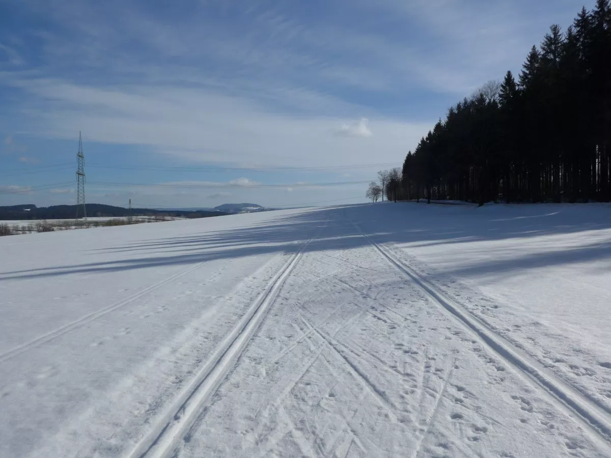 Loipe bei Elterlein