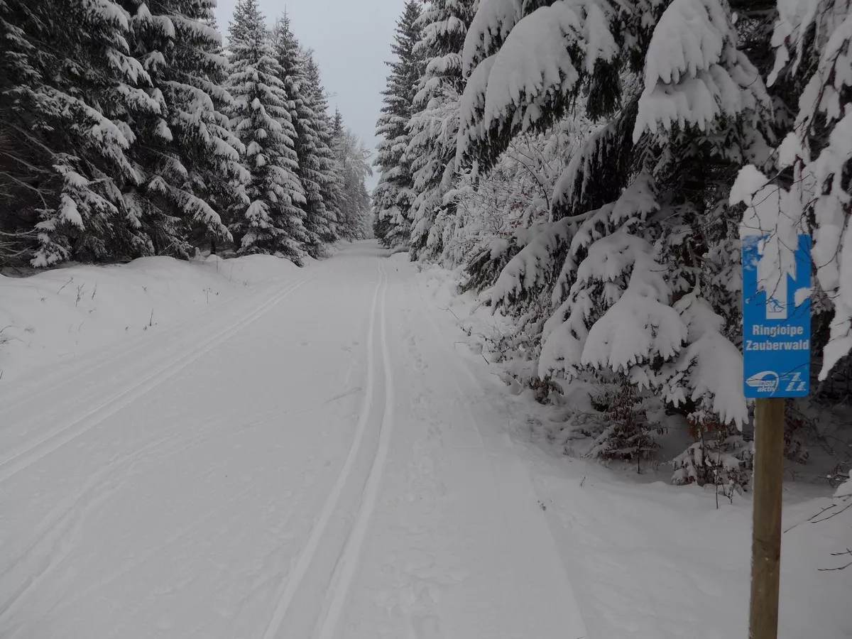Loipe_Erlbach3 Zauberwald