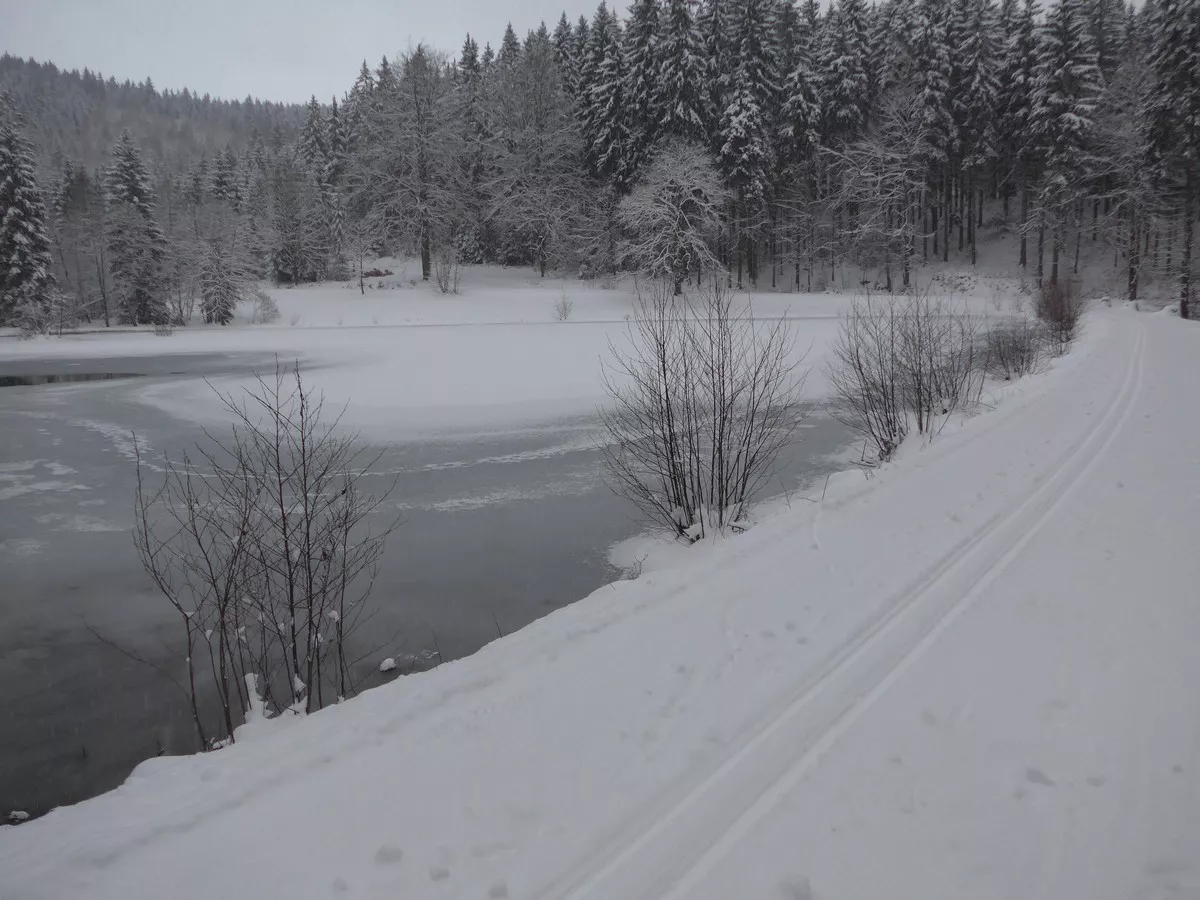 Loipe am hinteren Floßteich nahe Landesgemeinde
