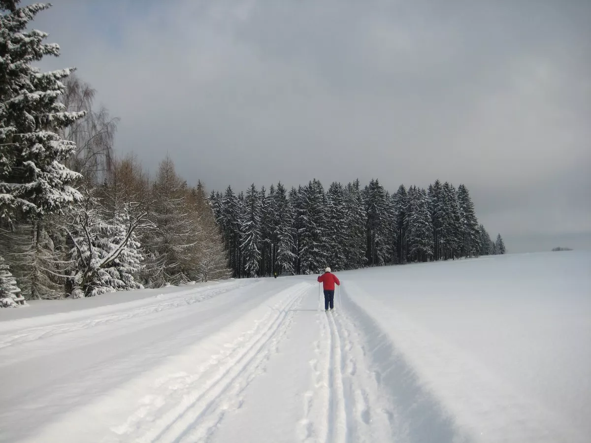 Loipe oberhalb von Geyer Richtung Waldschänke
