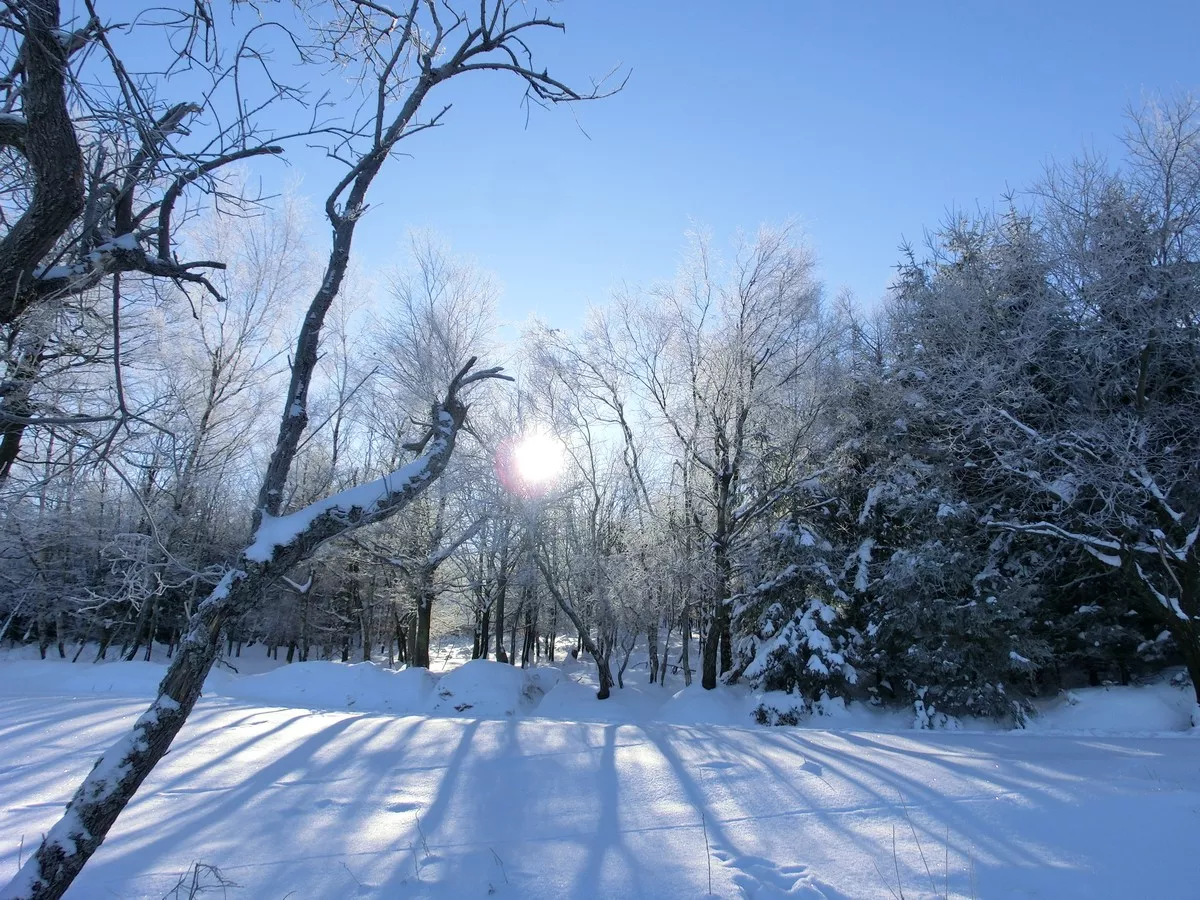 Loipe_Grosswaltersdorf1