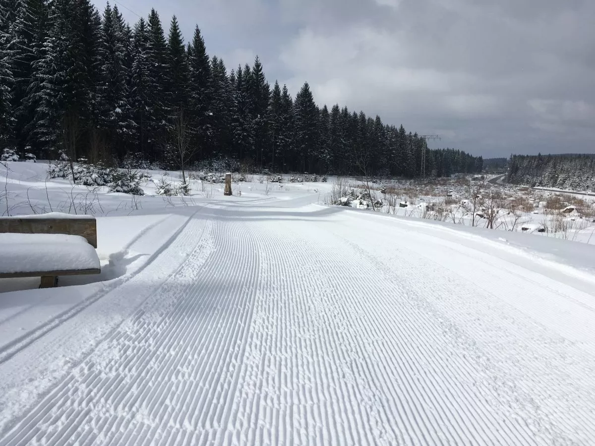 Grünbacher Allwetterloipe Skating