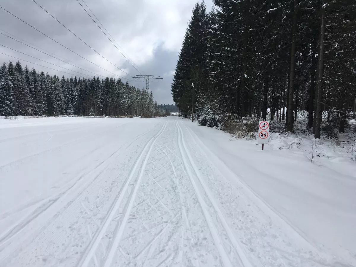 Startbereich Rehhübelloipen Grünbach