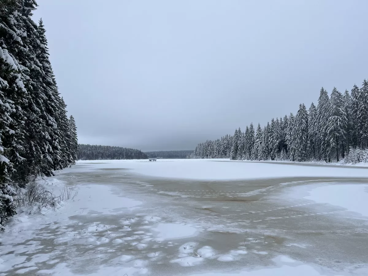 Zwischen Grünbach und Kammloipe an der Talsperre Muldenberg