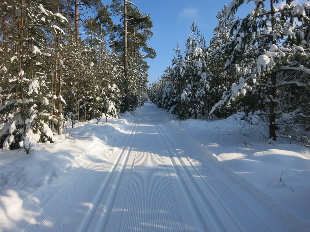 Röthelsteinloipe südlich von Beerheide
