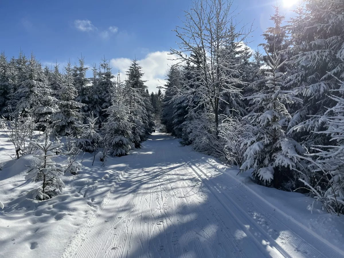 Loipengebiet Hermsdorf im Osterzgebirge