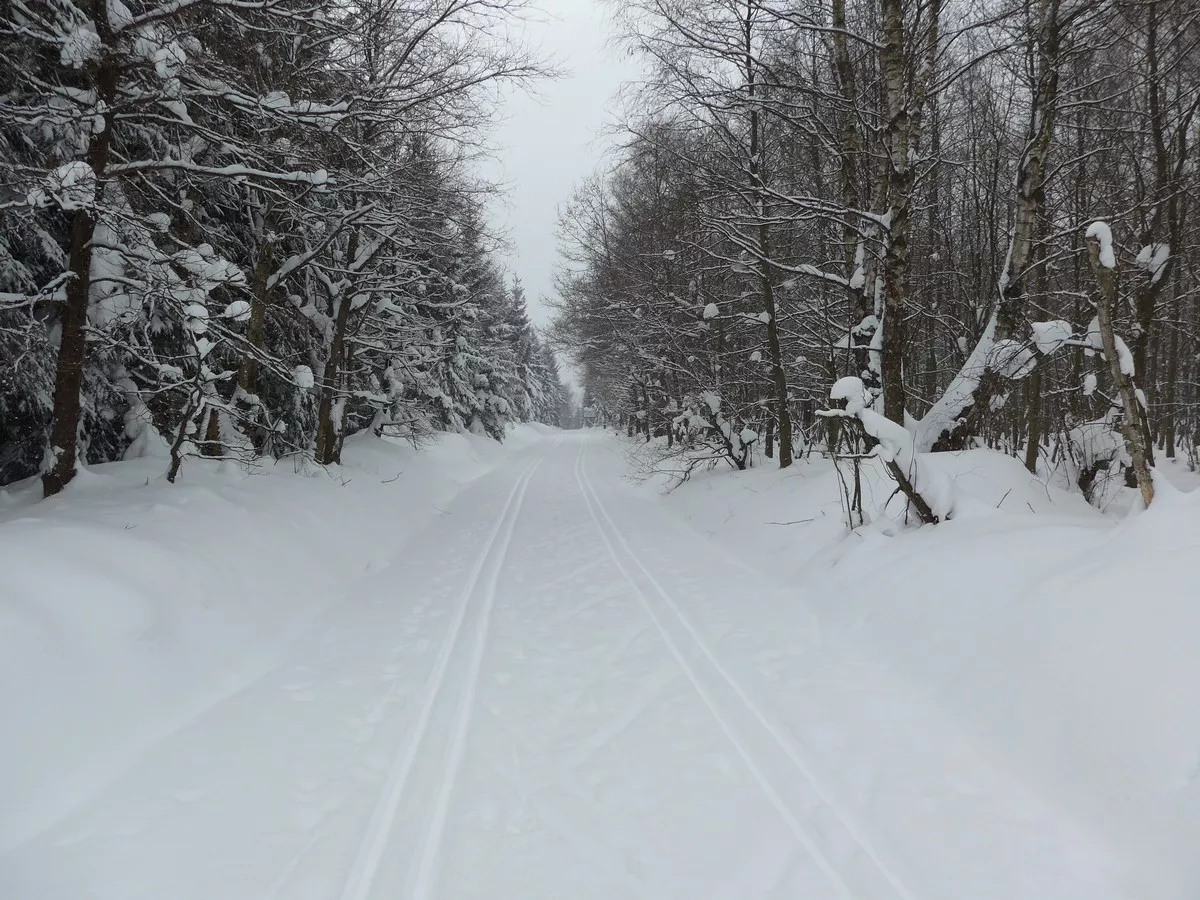 Moorweg im Loipengebiet Holzhau