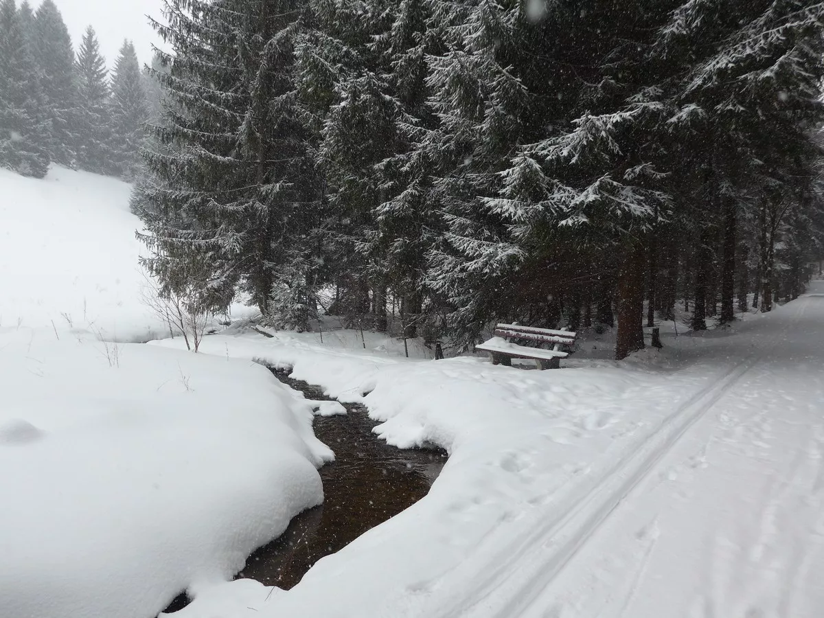 Osterzgebirgsloipe im Wernsbachtal an der tschechischen Grenze