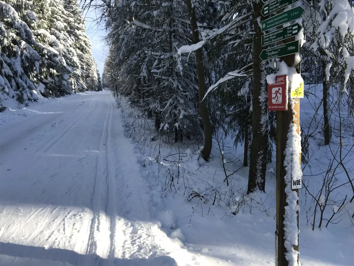 Nachtloipe am Tag entlang der Ringelstraße