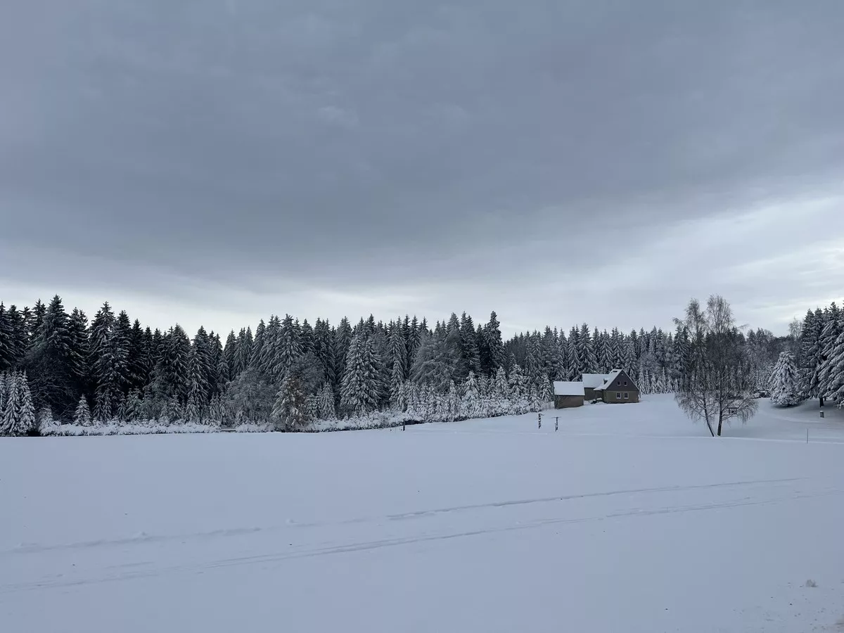 Freifläche bei Jägerhaus
