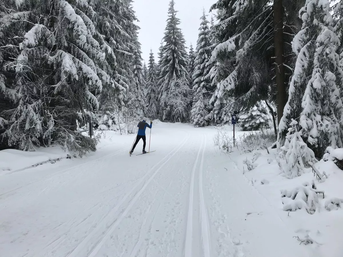 Kammloipe am Abzweig nach Steinbach