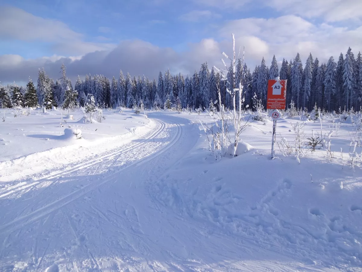 Abzweig Skimagistrale (SM) von der Kammloipe