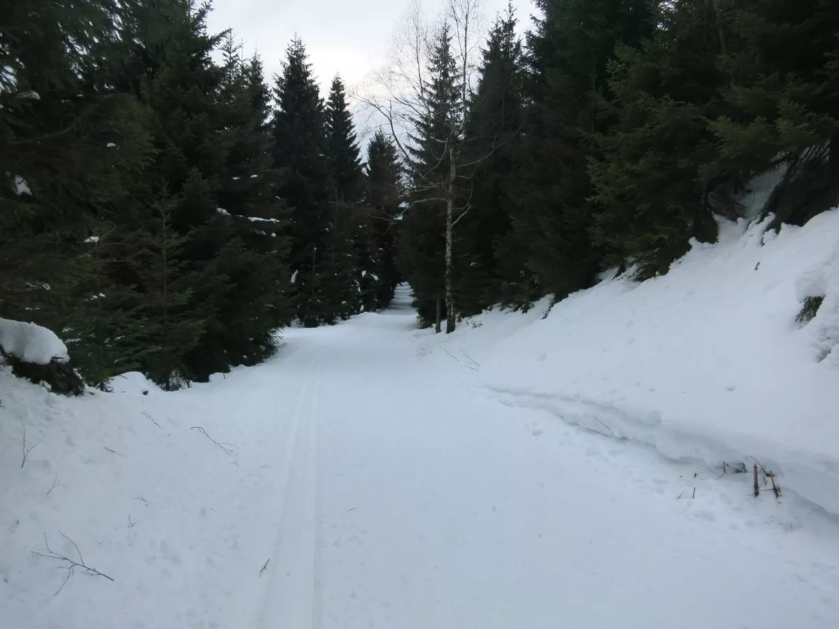 Loipe zwischen Kiel und Schneckenstein