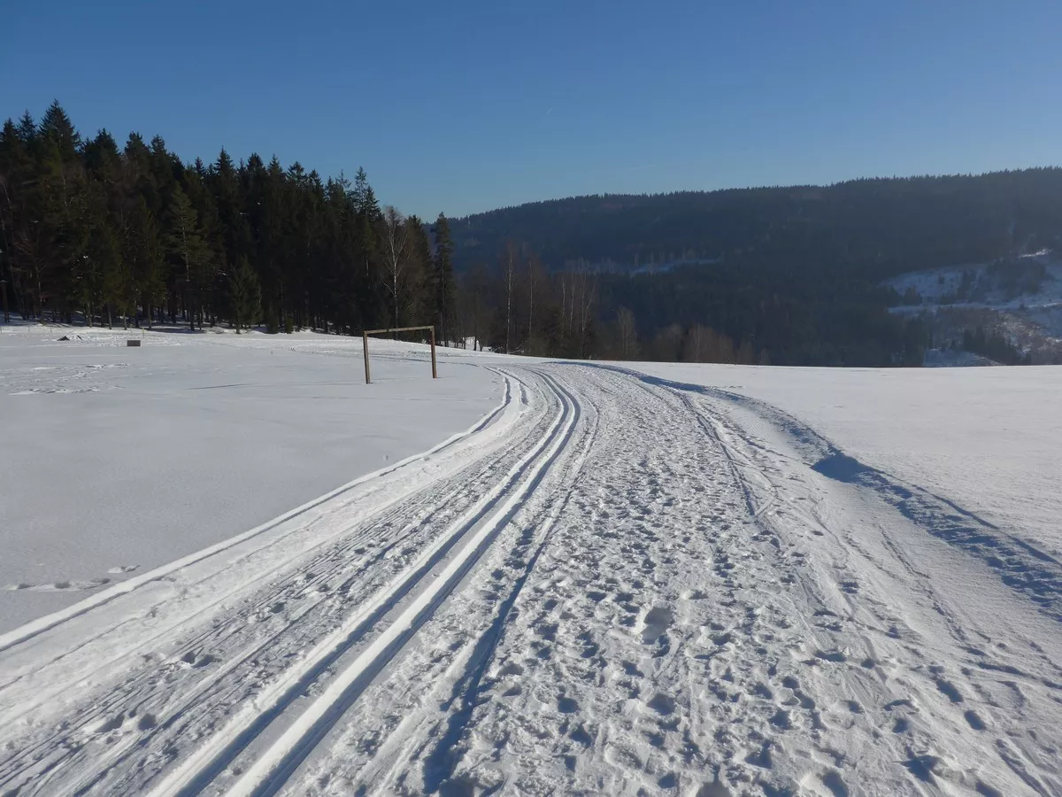 Am Herrenberg oberhalb von Zwota