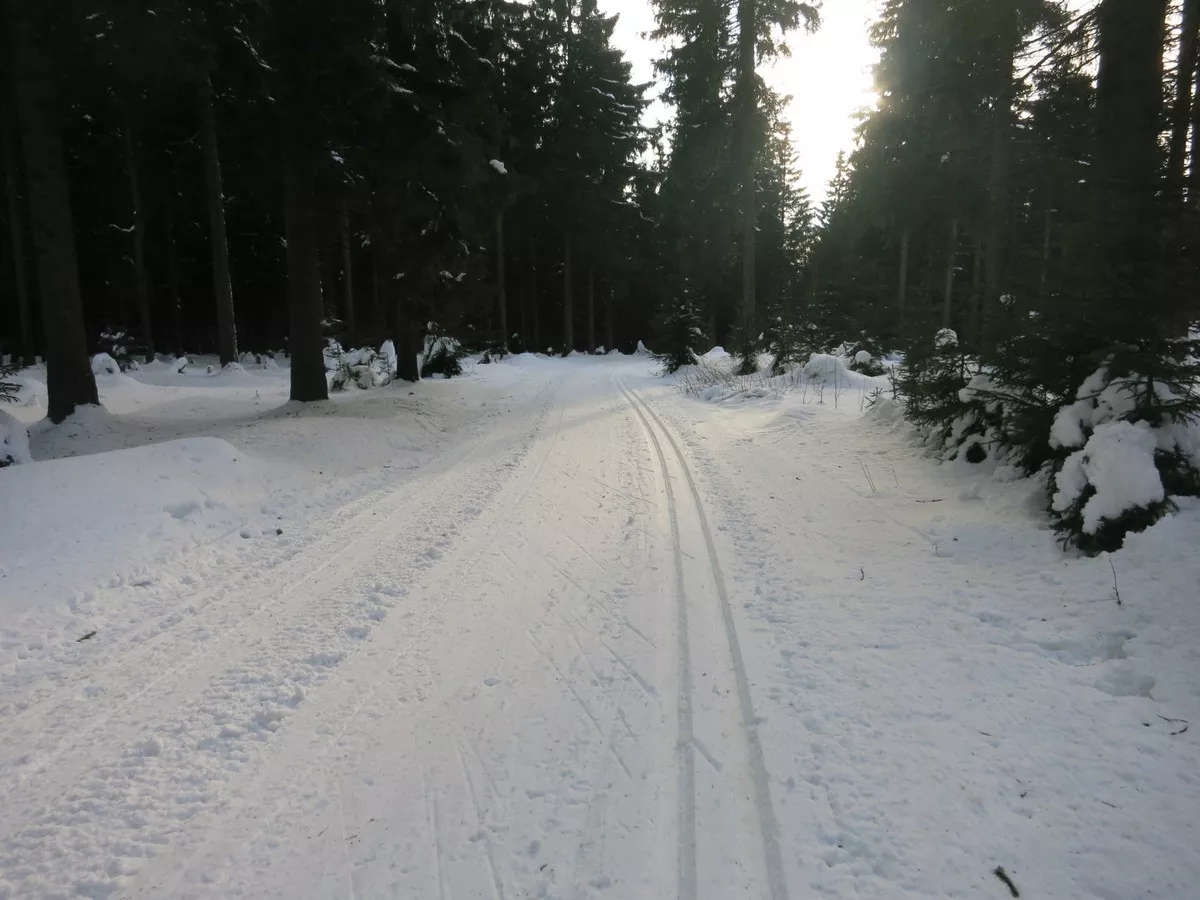 Rollerbahn oberhalb von Mühlleithen am Kiel