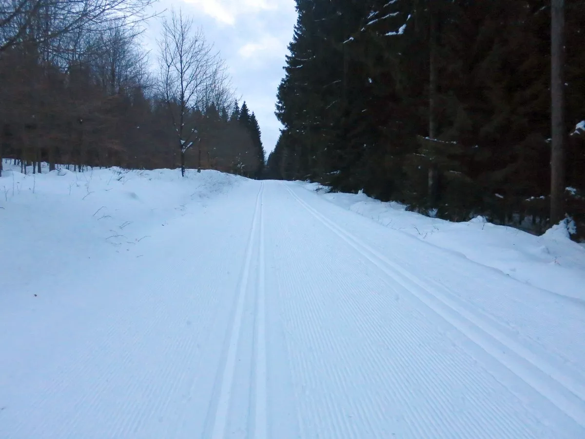 Schwarzbergloipe Klingenthal