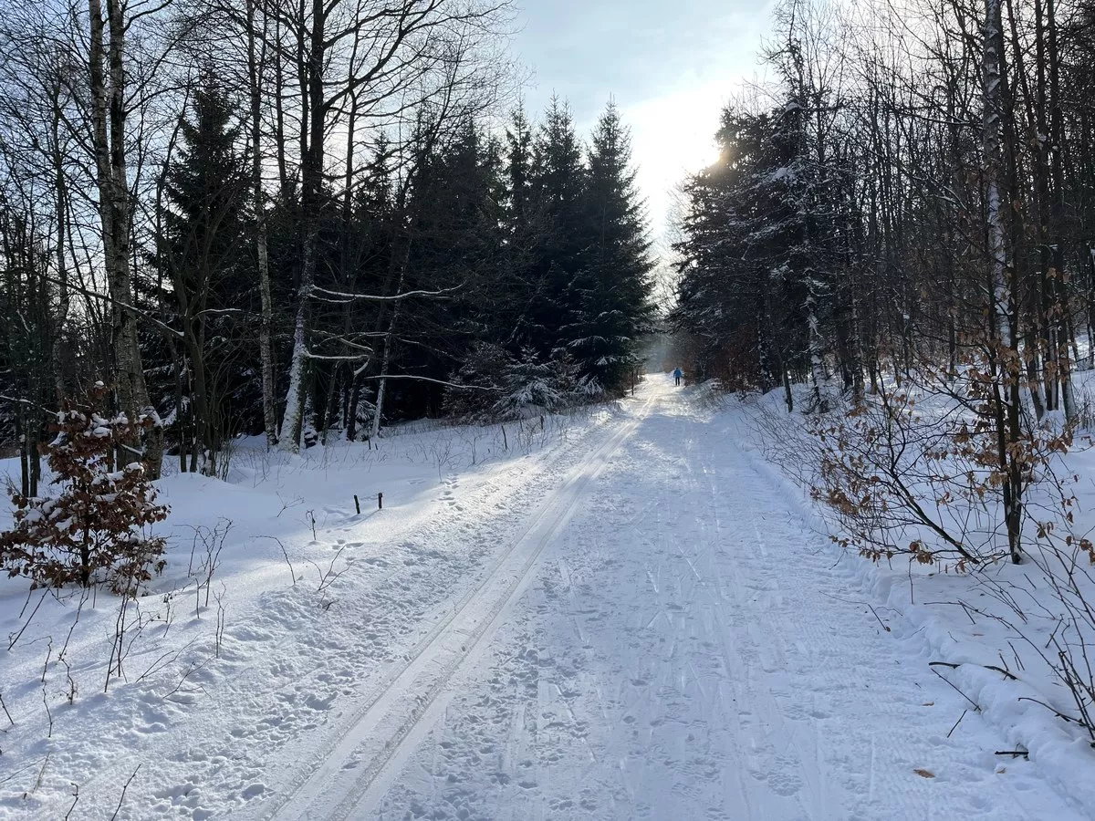 Orangene Loipe Kliny am Mračný vrch (Wolkenberg)