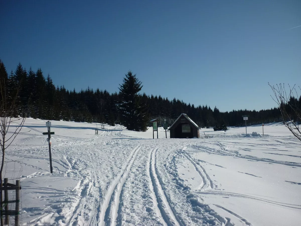 Loipe im Tal der Schwarzen Pockau