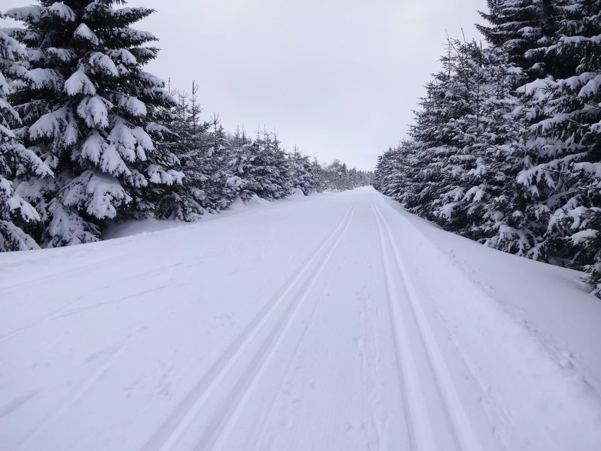 Loipe Loucna - Horni Halze auf breiter Straße