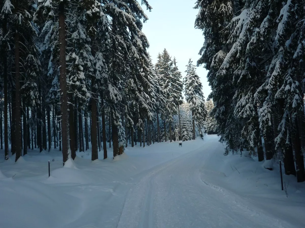 5-km Loipe im Rätzteichgebiet