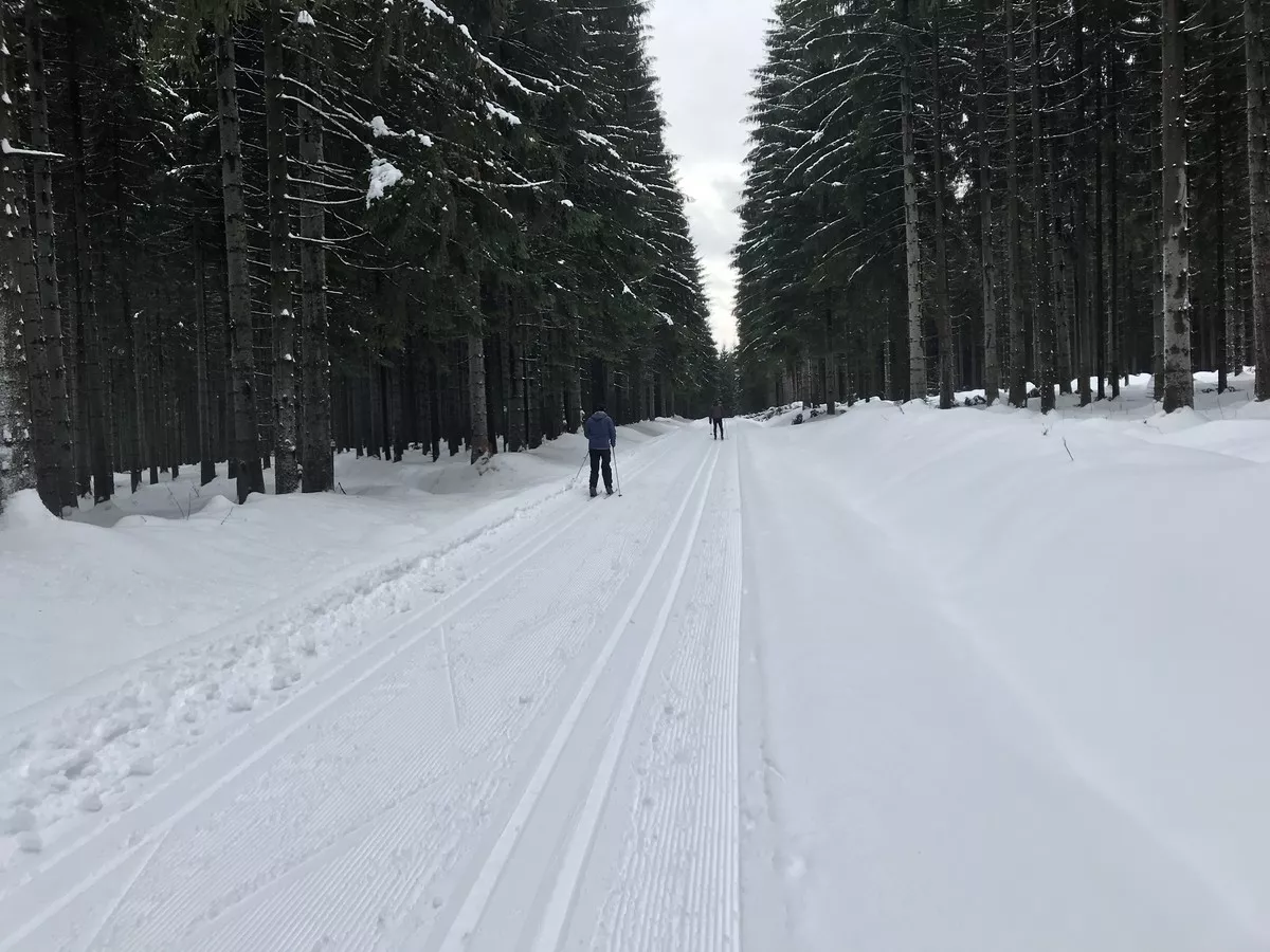 Gelbe 7-km Loipe bei Gelobtland