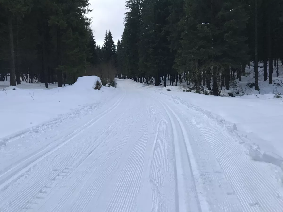 Anschlussloipe zu Rätzens Brettmühle - auch für Skating geeignet