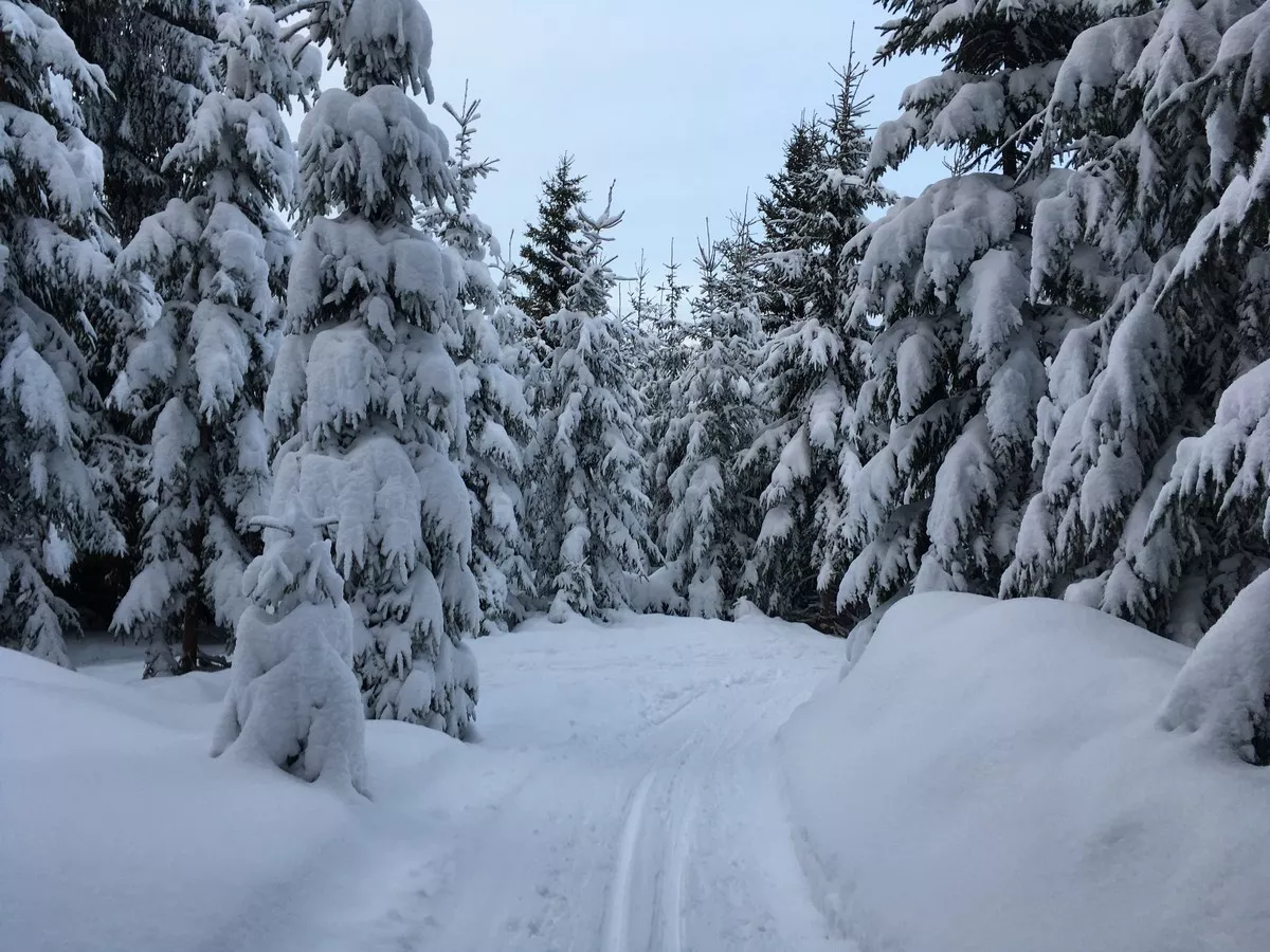 Kleine Loipe am über 1000 Meter hohen Vysoka sec