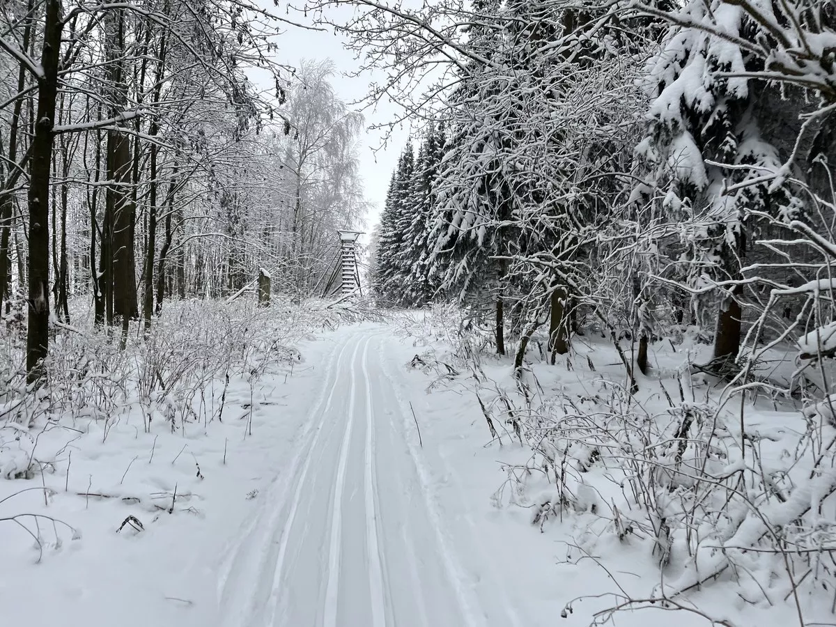 Loipe bei Nassau im Wald
